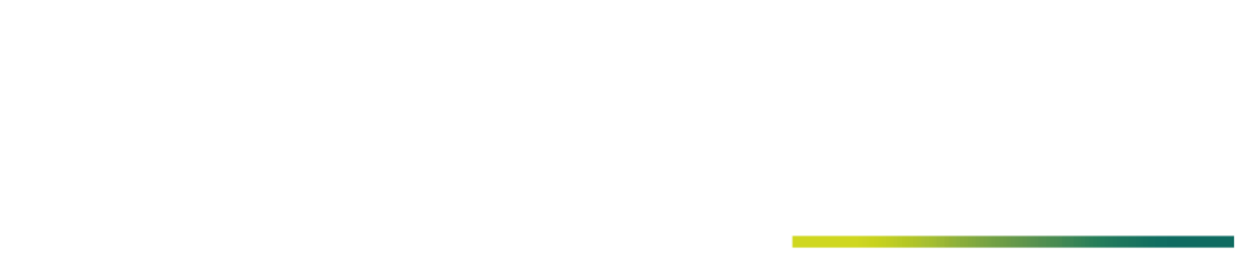Vista Quillén · Parcelación Lonquimay
